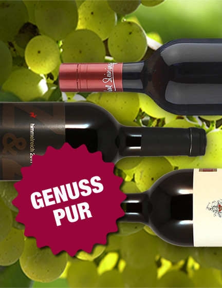 Online Shop <br />Loisium Vinothek